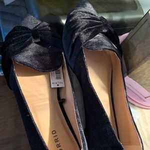 Black Velvet pointed toe flat by Torrid. Size 10W